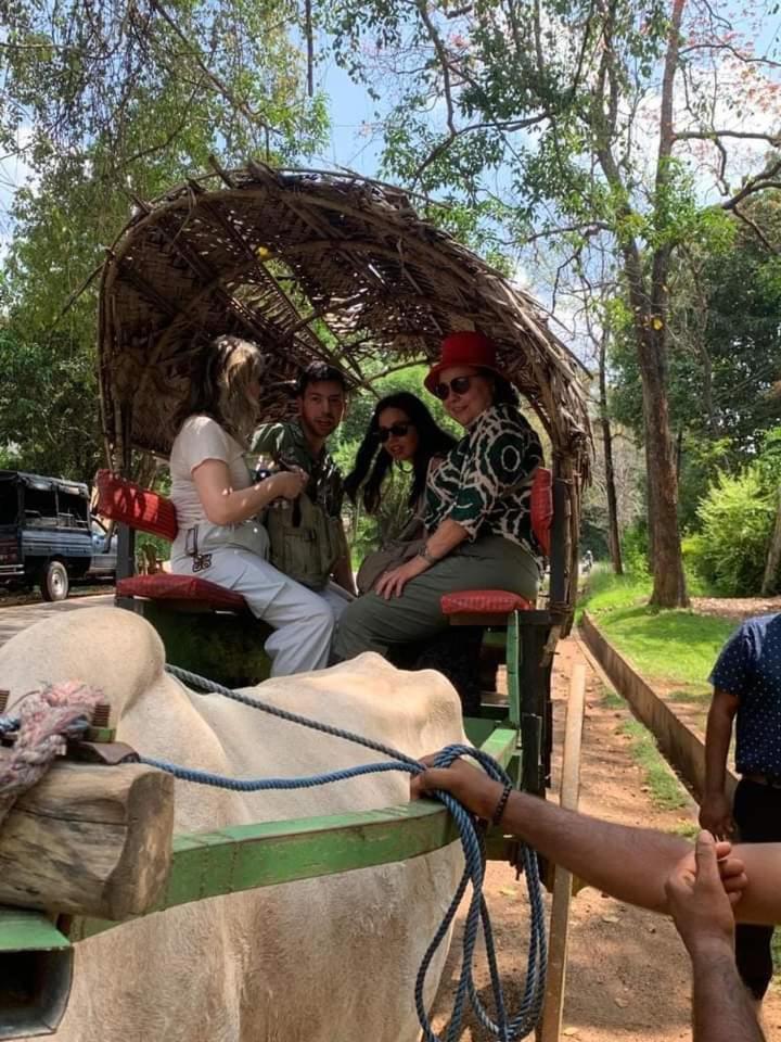 Elephant Safari Lodge Sigiriya Junction Habarana Eksteriør billede