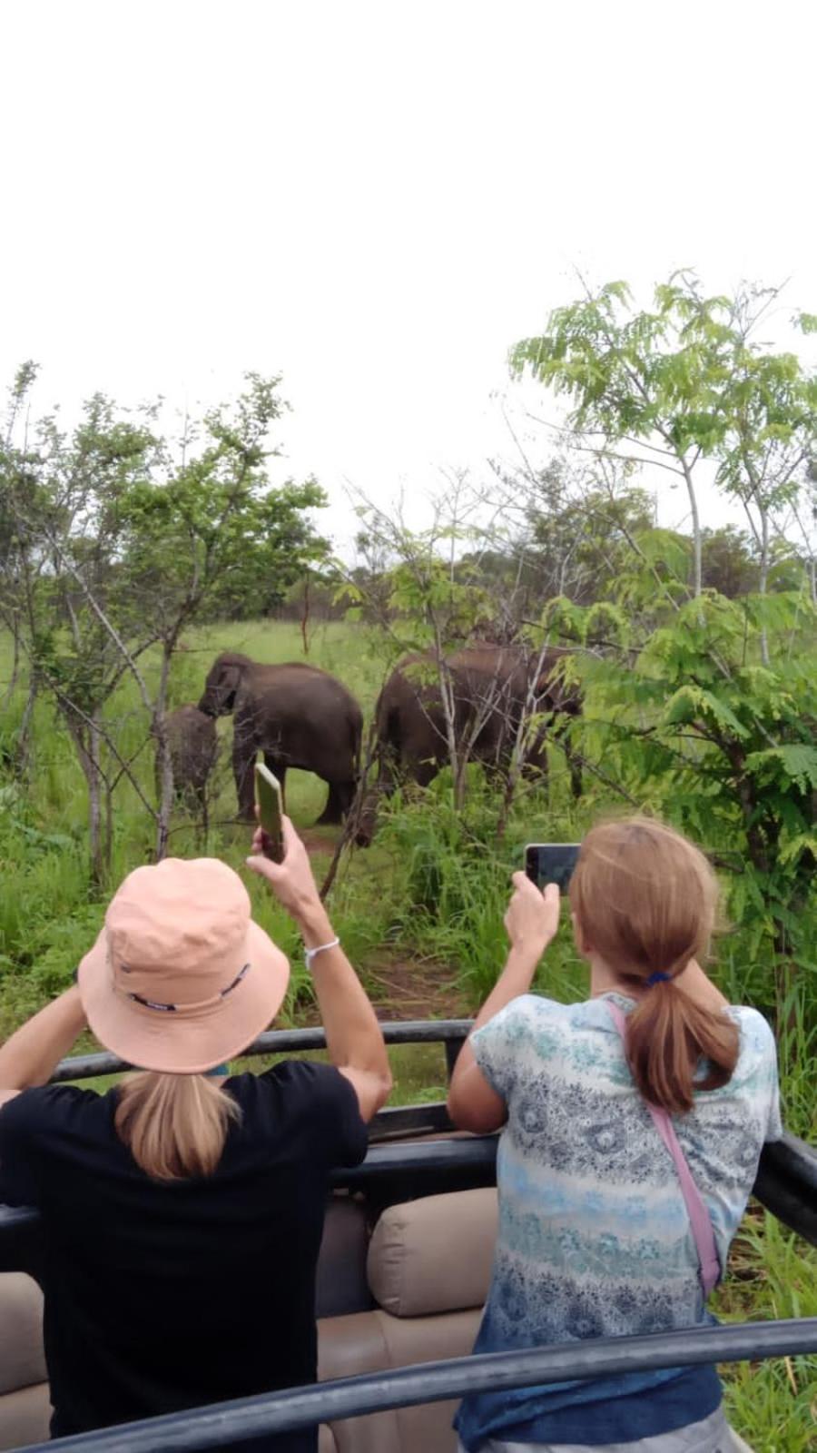 Elephant Safari Lodge Sigiriya Junction Habarana Eksteriør billede