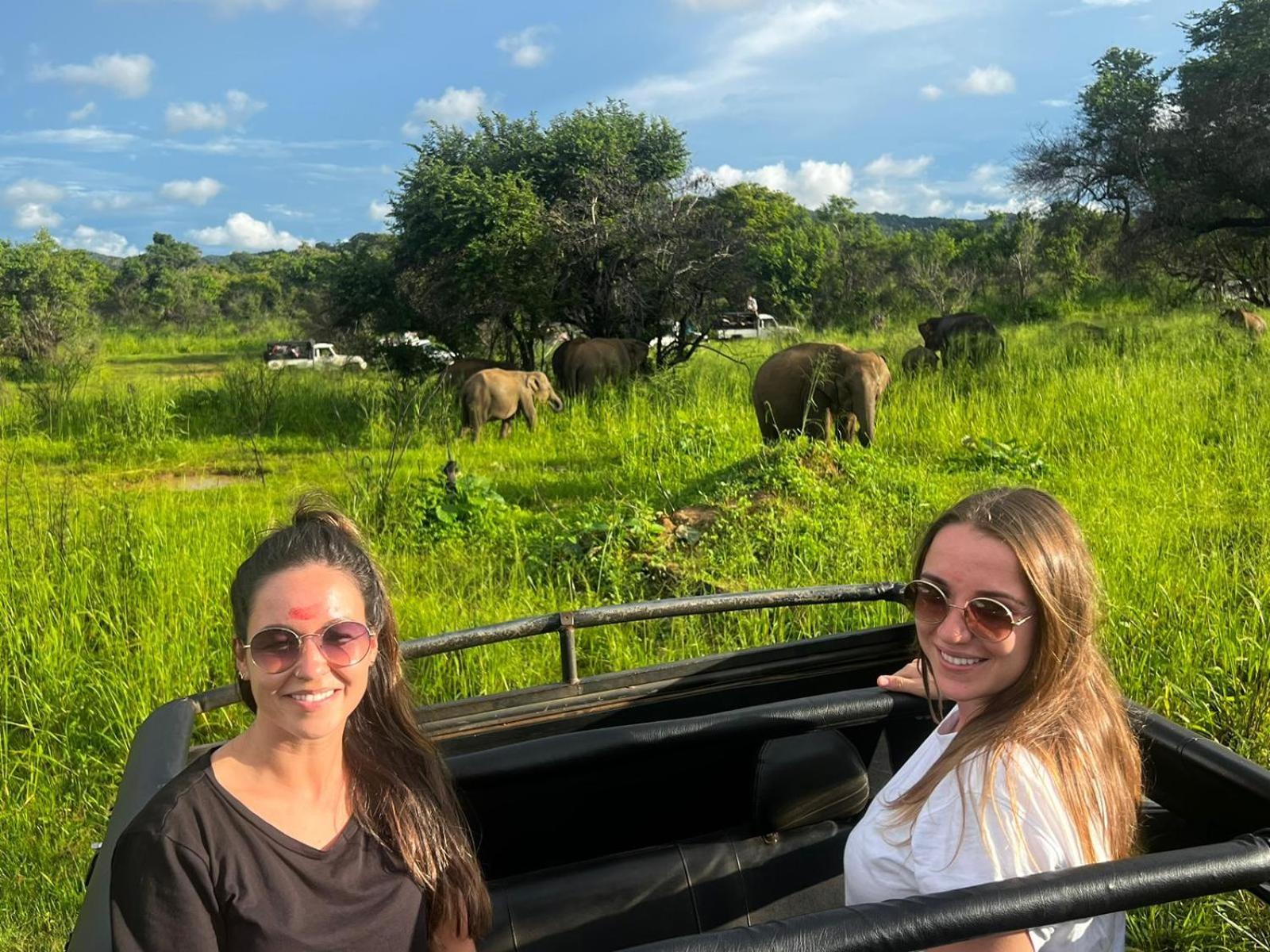 Elephant Safari Lodge Sigiriya Junction Habarana Eksteriør billede