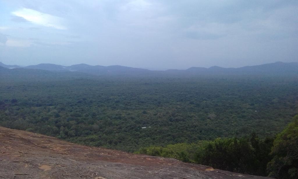 Elephant Safari Lodge Sigiriya Junction Habarana Eksteriør billede