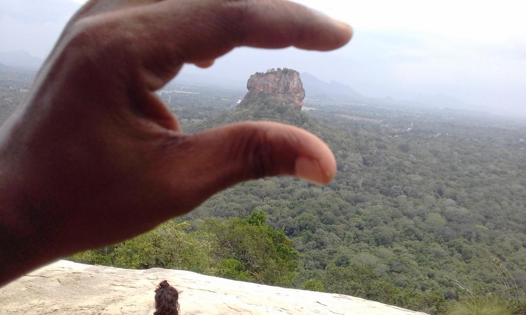 Elephant Safari Lodge Sigiriya Junction Habarana Eksteriør billede